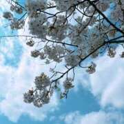 ヒメ日記 2025/07/11 07:34 投稿 みなみ 京都祇園・南インターちゃんこ