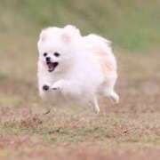 こころ お疲れ様です！ みせすはーと