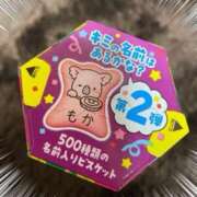 ヒメ日記 2025/03/15 14:05 投稿 もか(昭和52年生まれ) 熟年カップル名古屋～生電話からの営み～