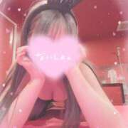 ヒメ日記 2025/07/06 11:30 投稿 ミミ【小悪魔的可愛さ】 ドＭなバニーちゃん小倉店