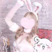 ヒメ日記 2025/07/15 20:02 投稿 ミミ【小悪魔的可愛さ】 ドＭなバニーちゃん小倉店