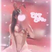 ヒメ日記 2026/04/07 21:05 投稿 ミミ【小悪魔的可愛さ】 ドＭなバニーちゃん小倉店