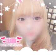 ヒメ日記 2025/03/08 17:07 投稿 リズム 奴隷コレクション