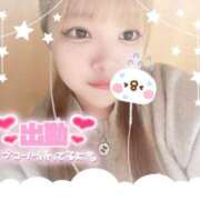 ヒメ日記 2025/04/12 14:40 投稿 リズム 奴隷コレクション