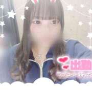 ヒメ日記 2025/04/22 17:15 投稿 リズム 奴隷コレクション