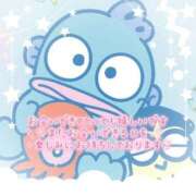 ヒメ日記 2025/09/03 04:25 投稿 リズム 奴隷コレクション