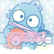 ヒメ日記 2025/11/25 00:12 投稿 リズム 奴隷コレクション