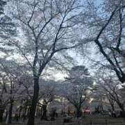 ヒメ日記 2025/04/09 04:25 投稿 もえ セレブクエスト-omiya-