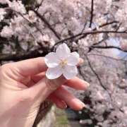 ヒメ日記 2025/03/31 15:47 投稿 かりん⭐︎業界未経験 エアポート