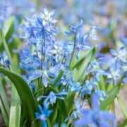 ヒメ日記 2025/02/02 09:28 投稿 ☆りおん☆ ◆プラウディア◆AAA級素人娘在籍店