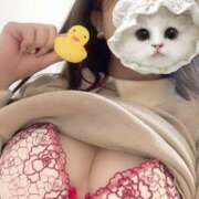 ヒメ日記 2025/12/14 23:31 投稿 まどか 迷宮の人妻　熊谷・行田発