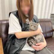 ヒメ日記 2026/07/14 15:49 投稿 MAI TALL