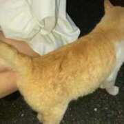 ヒメ日記 2025/11/21 17:02 投稿 りんか 東京♂風俗の神様 町田・相模原店