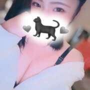 ヒメ日記 2025/09/11 11:14 投稿 おりおん ビギナーズ和歌山