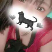 ヒメ日記 2025/11/06 11:34 投稿 おりおん ビギナーズ和歌山