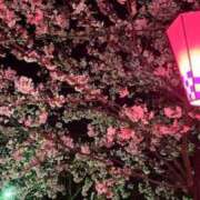 ヒメ日記 2025/04/06 22:40 投稿 ちおり ごほうびSPA五反田店