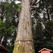 ヒメ日記 2025/05/31 21:54 投稿 ちおり ごほうびSPA五反田店