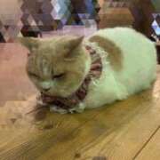 ヒメ日記 2025/06/19 22:33 投稿 ちおり ごほうびSPA五反田店