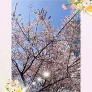 ヒメ日記 2025/03/14 10:55 投稿 れお ローテンブルク