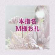 ヒメ日記 2025/03/15 11:22 投稿 れお ローテンブルク