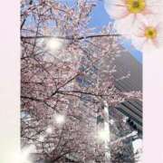 ヒメ日記 2025/03/26 11:02 投稿 れお ローテンブルク