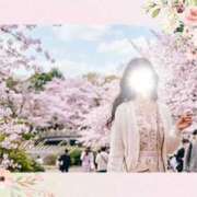 ヒメ日記 2026/03/17 12:59 投稿 れお ローテンブルク