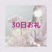 れお 30日お礼＊° ローテンブルク