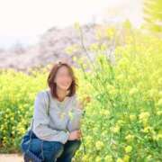 ヒメ日記 2025/04/13 12:05 投稿 芽吹エマ ローテンブルク