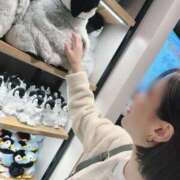 ヒメ日記 2025/04/30 12:01 投稿 芽吹エマ ローテンブルク