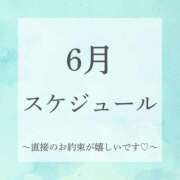 ヒメ日記 2025/05/17 09:01 投稿 芽吹エマ ローテンブルク