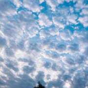 ヒメ日記 2025/10/13 12:02 投稿 芽吹エマ ローテンブルク