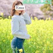 ヒメ日記 2025/10/29 12:04 投稿 芽吹エマ ローテンブルク