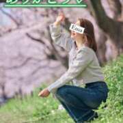 ヒメ日記 2025/12/01 13:15 投稿 芽吹エマ ローテンブルク
