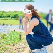 ヒメ日記 2025/12/24 14:26 投稿 芽吹エマ ローテンブルク