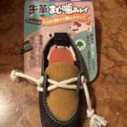 ヒメ日記 2025/04/16 22:00 投稿 みか ローテンブルク