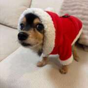 ヒメ日記 2025/12/26 01:49 投稿 みか ローテンブルク