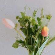 ヒメ日記 2025/02/23 11:22 投稿 菜々穂 ローテンブルク