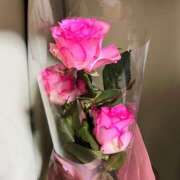 ヒメ日記 2025/03/12 20:32 投稿 菜々穂 ローテンブルク