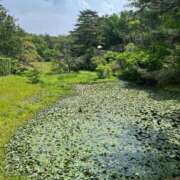ヒメ日記 2025/06/01 21:18 投稿 菜々穂 ローテンブルク