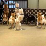 ヒメ日記 2025/08/02 16:08 投稿 菜々穂 ローテンブルク