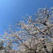 ヒメ日記 2026/04/03 11:07 投稿 菜々穂 ローテンブルク