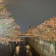 ヒメ日記 2026/04/08 21:48 投稿 菜々穂 ローテンブルク