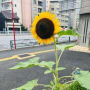 ヒメ日記 2026/08/31 09:29 投稿 菜々穂 ローテンブルク
