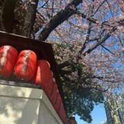 ヒメ日記 2026/03/10 13:01 投稿 氷川愛 ローテンブルク