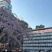 ヒメ日記 2026/03/22 11:01 投稿 氷川愛 ローテンブルク