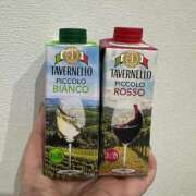 ヒメ日記 2026/04/05 11:01 投稿 氷川愛 ローテンブルク