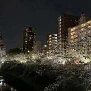 ヒメ日記 2026/04/09 11:00 投稿 氷川愛 ローテンブルク