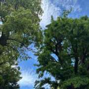 ヒメ日記 2026/05/08 11:45 投稿 氷川愛 ローテンブルク