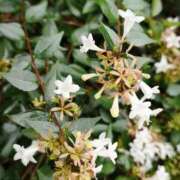 ヒメ日記 2025/09/28 09:54 投稿 瑞木瑠華 ローテンブルク