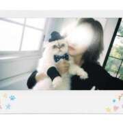 ヒメ日記 2025/11/13 09:01 投稿 瑞木瑠華 ローテンブルク